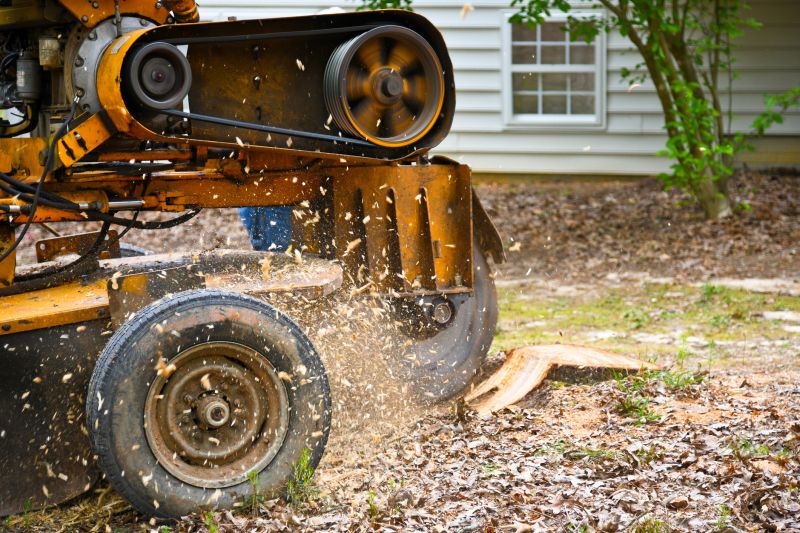 Stump Grinding Equipment