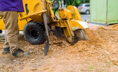 Stump Grinding Specialists